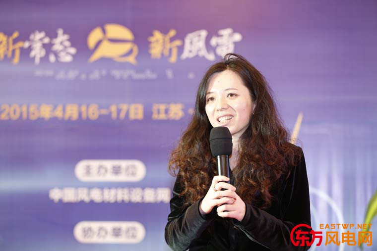 3M中國有限公司風電事業(yè)部經(jīng)理-陶理