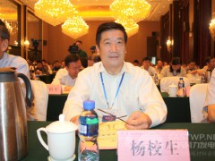 中國農(nóng)機(jī)工業(yè)協(xié)會風(fēng)能設(shè)備分會楊校生理事長、